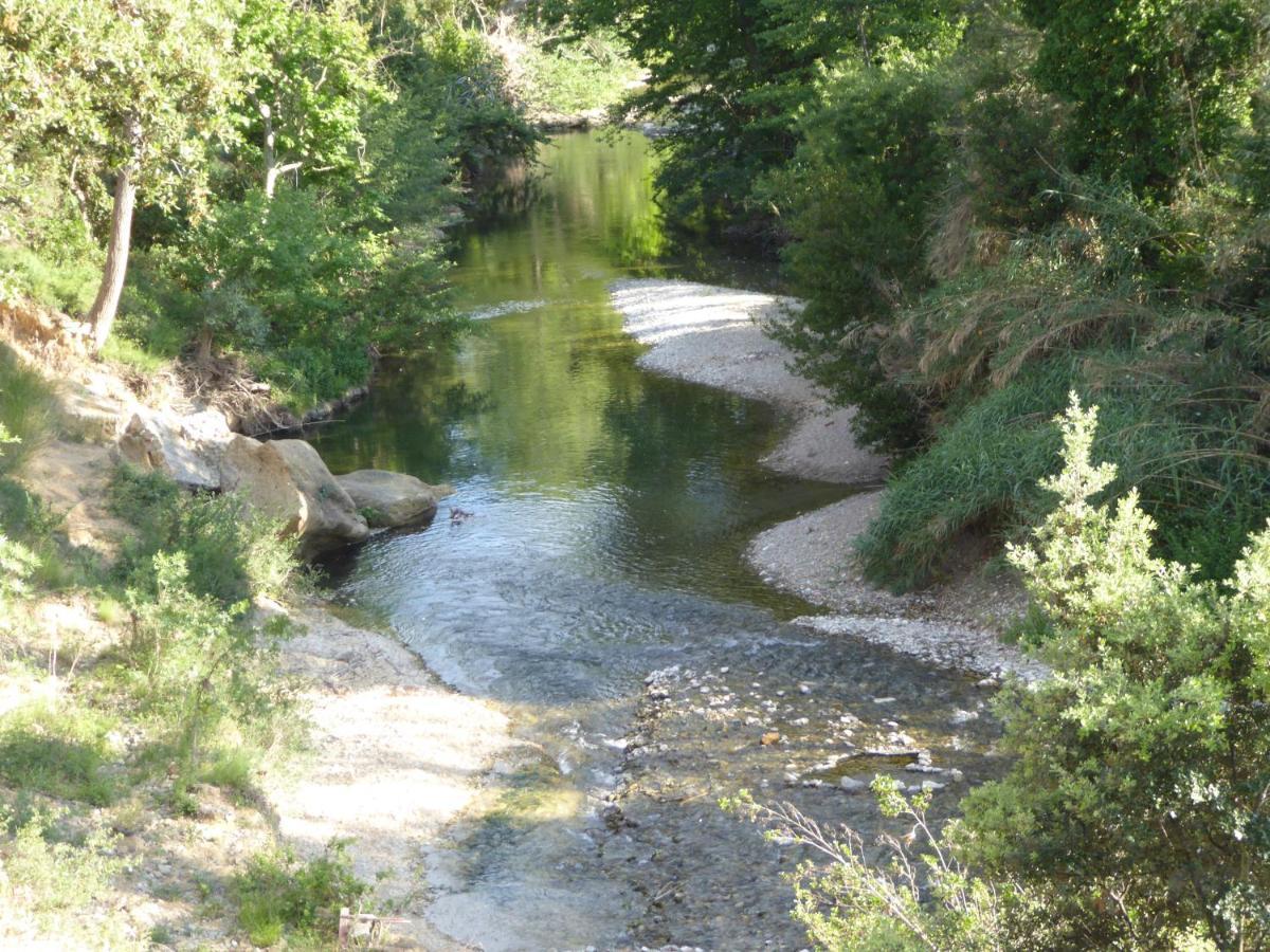 Mirepeisset Domaine De L'Herbe Sainte מראה חיצוני תמונה